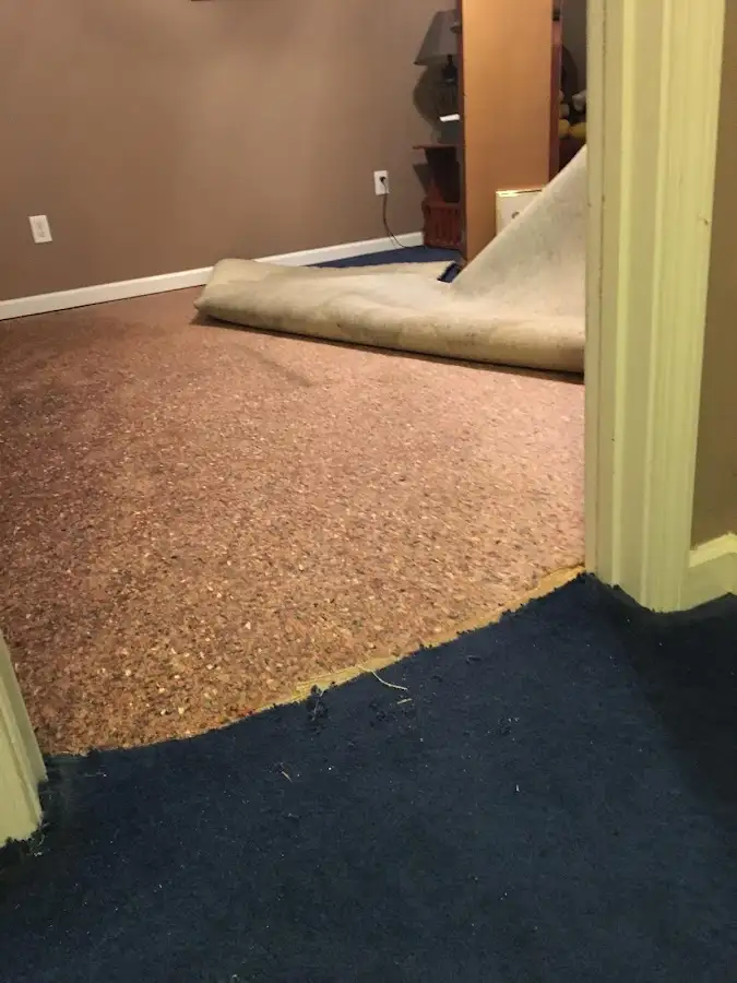Carpet pad removal revealing water damage during Drying & Dehumidification in Lynden