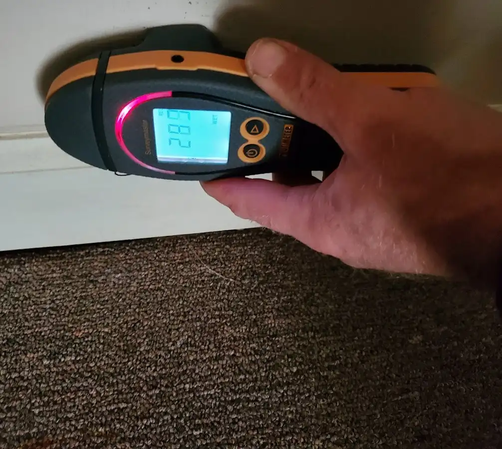 Moisture detection at baseboard during Sewage Cleanup & Sanitation in Lynden